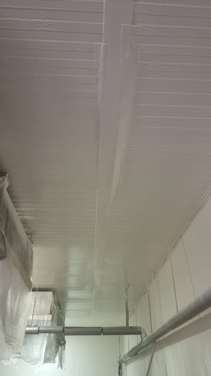 Защитное эластомерное покрытие потолка и стен производственного помещения
